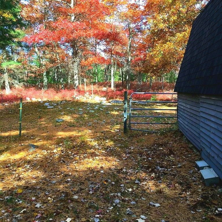 121 East Killingly Road Foster, RI 02825 - Photo 14 of 19
