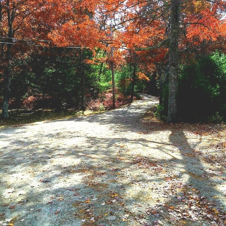 121 East Killingly Road Foster, RI 02825 - Photo 5 of 19