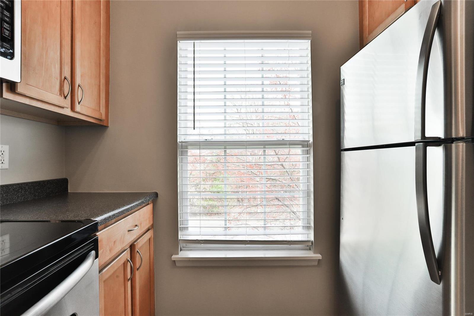 9715 Crayford Road, Unit 3H Affton, MO 63123 - Photo 8 of 22