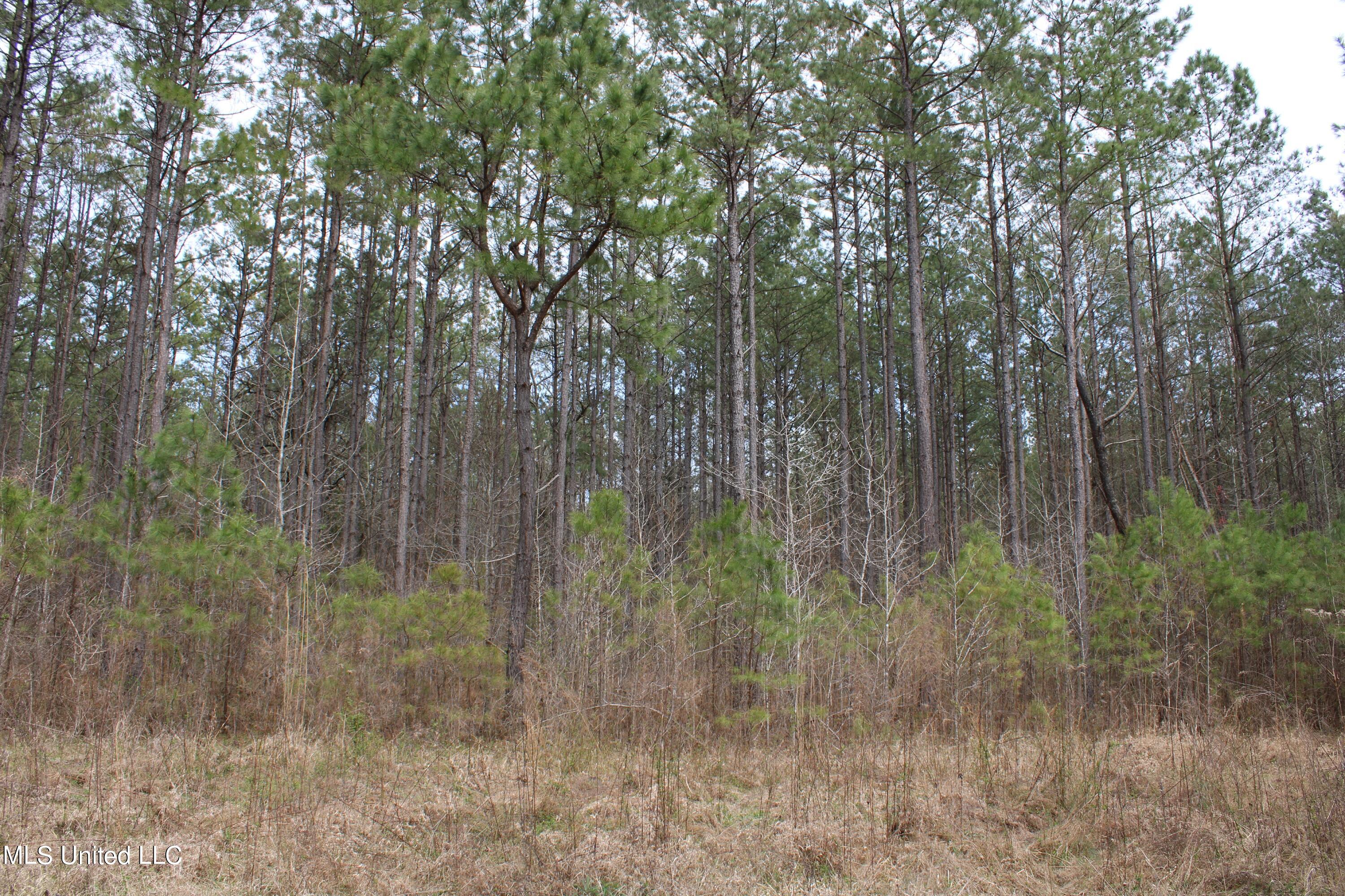 951 Woods Road Byhalia, MS 38611 - Photo 30 of 35 IMG_0995