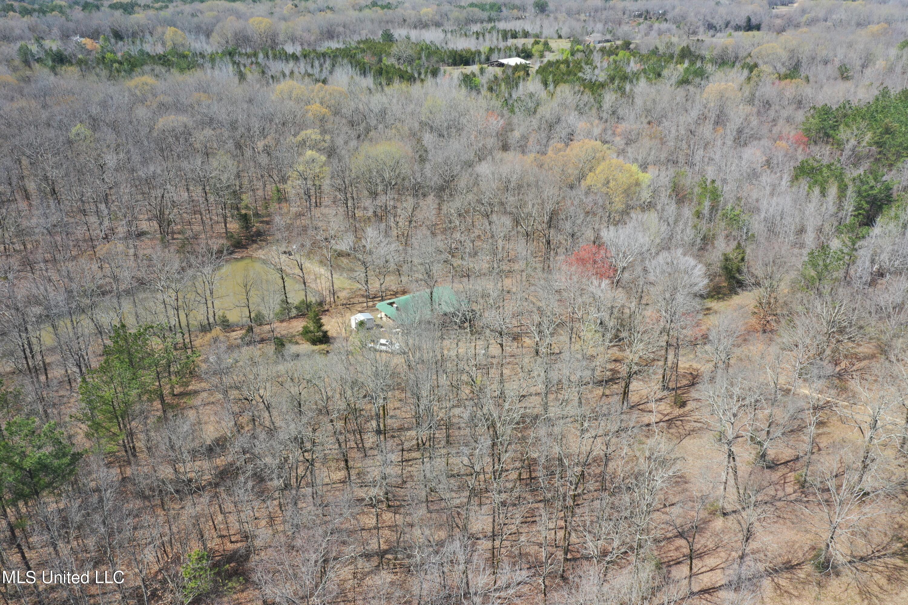 951 Woods Road Byhalia, MS 38611 - Photo 5 of 35 DJI_0080