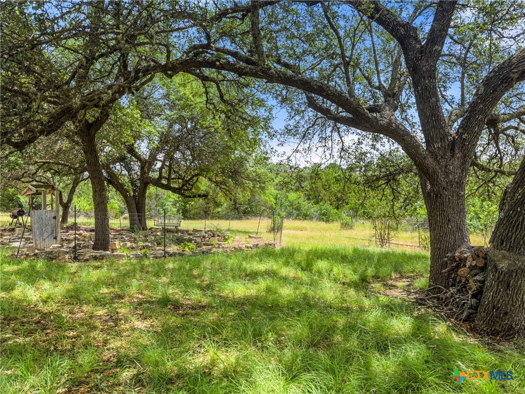 428 Summit Spring Lane Johnson City, TX 78636 - Photo 6 of 33