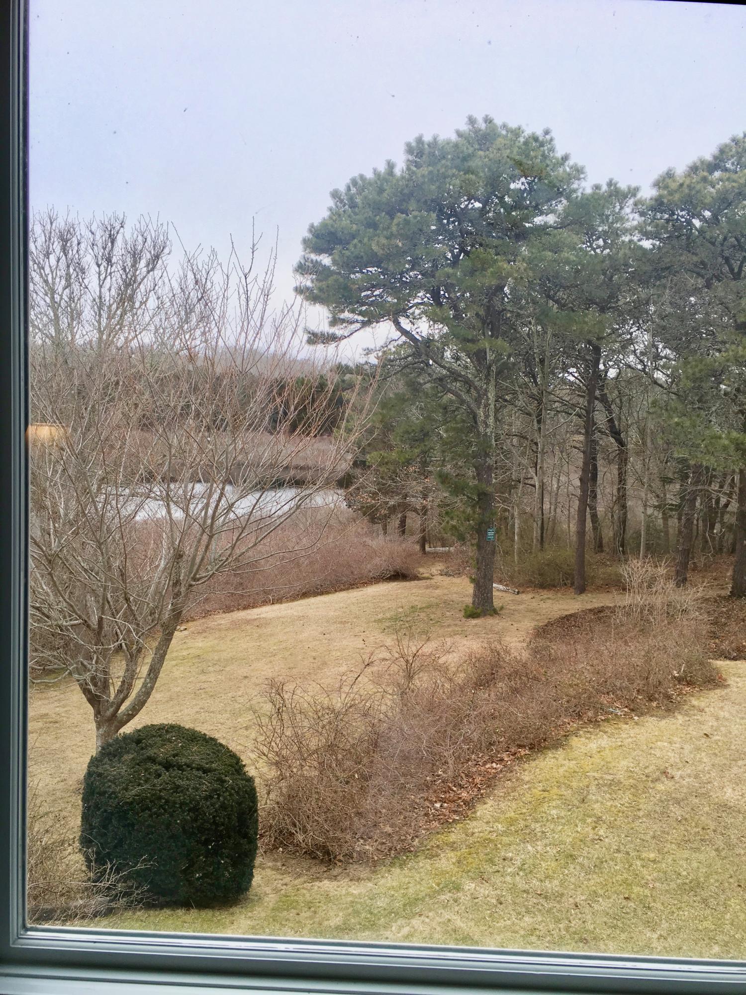 26 Champlain Road Orleans, MA 02653 - Photo 15 of 32 a view of a yard with trees in the background