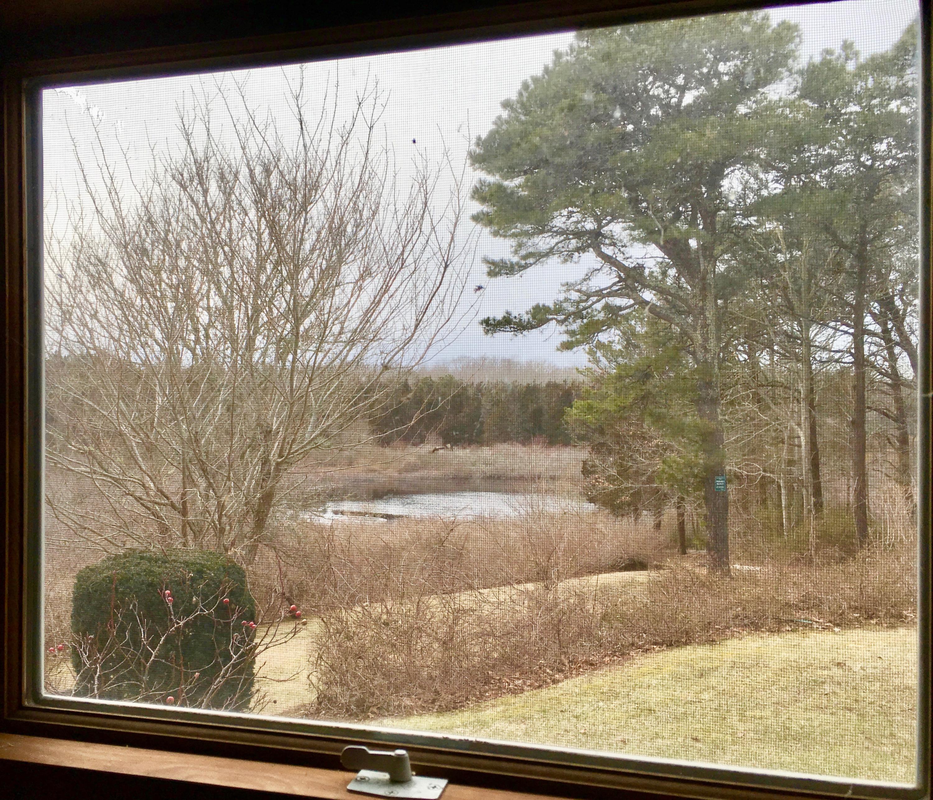 26 Champlain Road Orleans, MA 02653 - Photo 23 of 32 a view of trees from a window