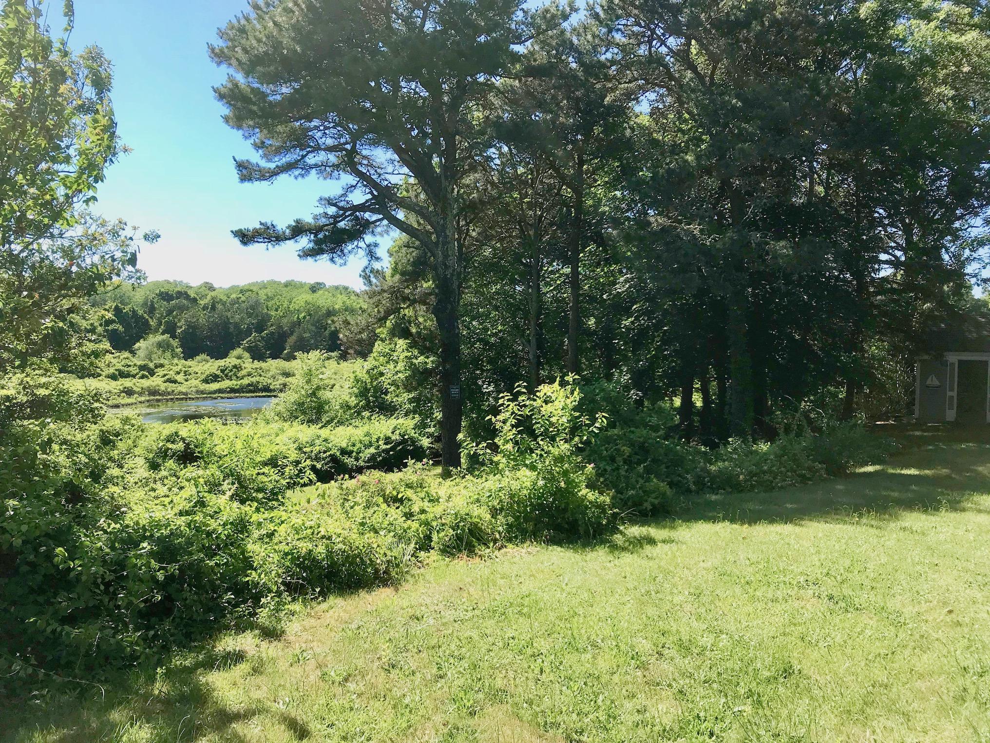 26 Champlain Road Orleans, MA 02653 - Photo 26 of 32 a view of a yard with a tree