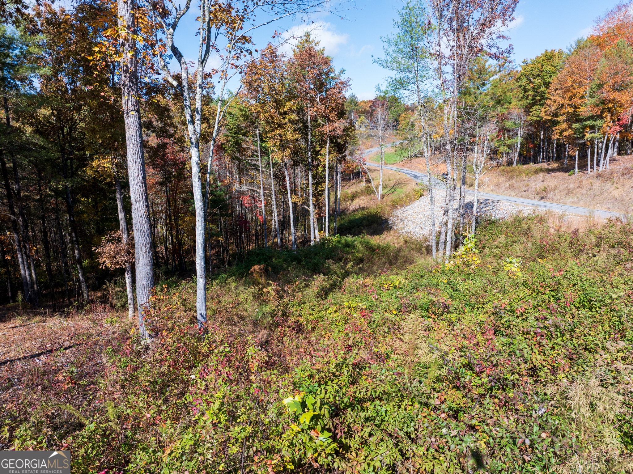0 Ridge Road Morganton, GA 30560 - Photo 13 of 47 a view of backyard of house