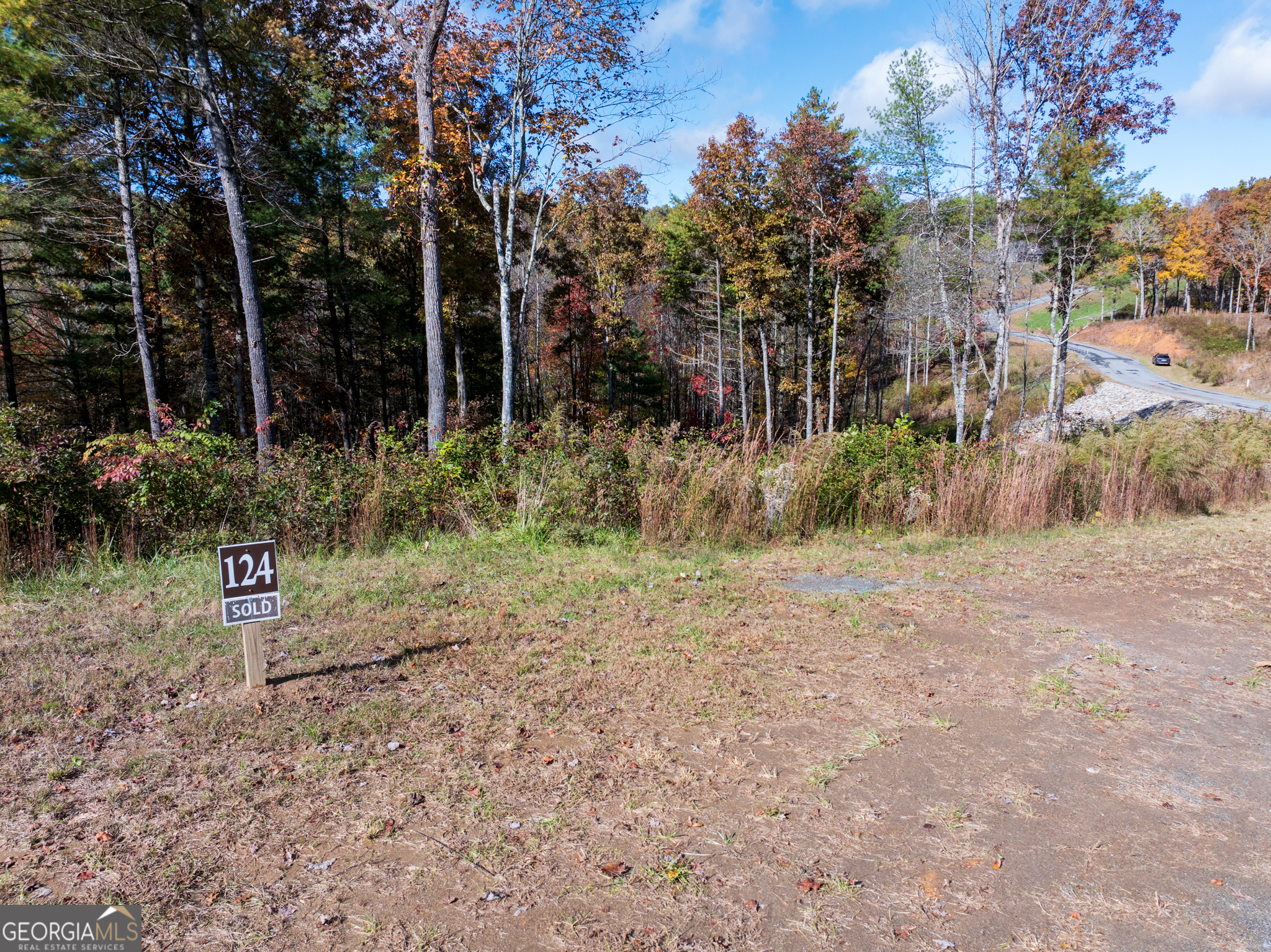 0 Ridge Road Morganton, GA 30560 - Photo 14 of 47 a view of a forest with trees