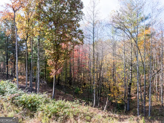 a view of backyard with green space