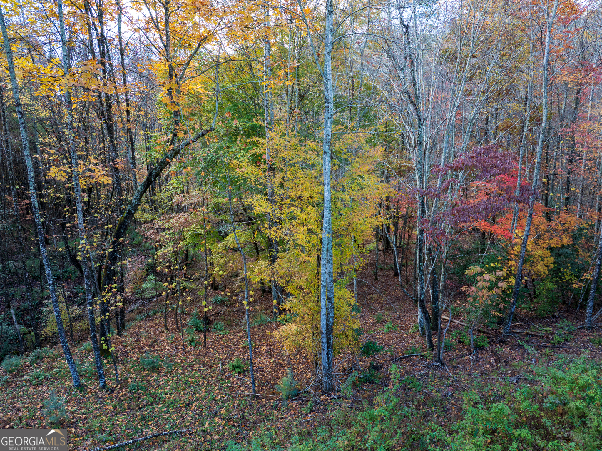 0 Ridge Road Morganton, GA 30560 - Photo 16 of 47 a backyard of a house with lots of green space