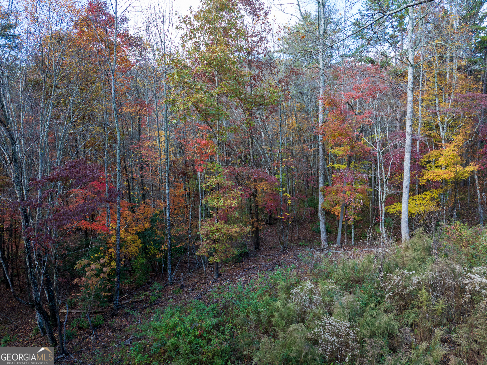 0 Ridge Road Morganton, GA 30560 - Photo 17 of 47