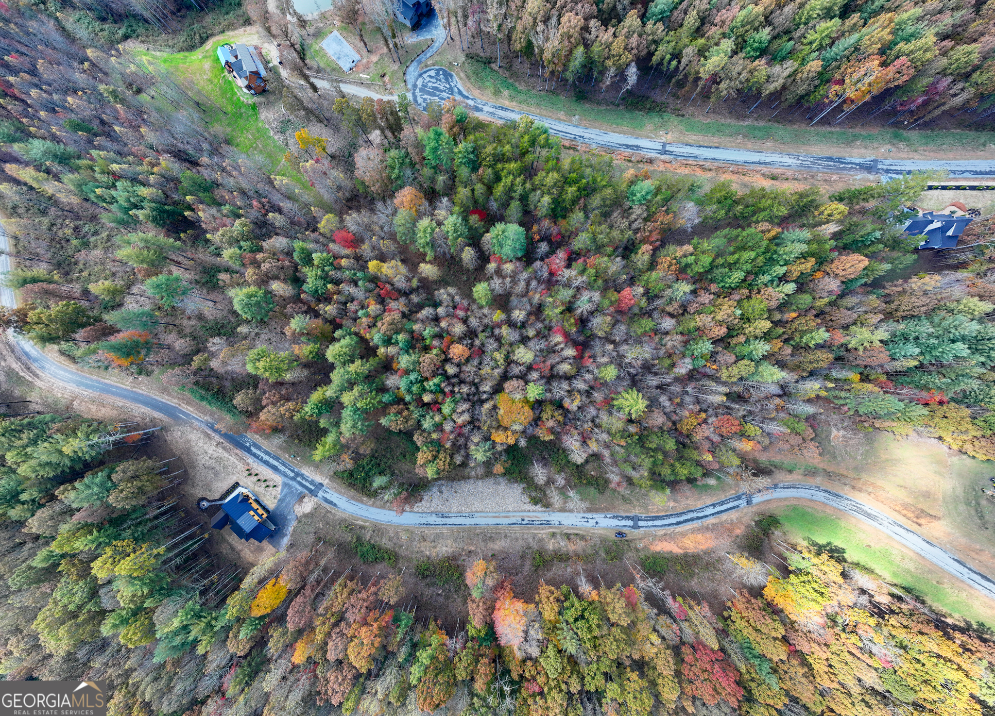 0 Ridge Road Morganton, GA 30560 - Photo 23 of 47 a view of a garden with flowers