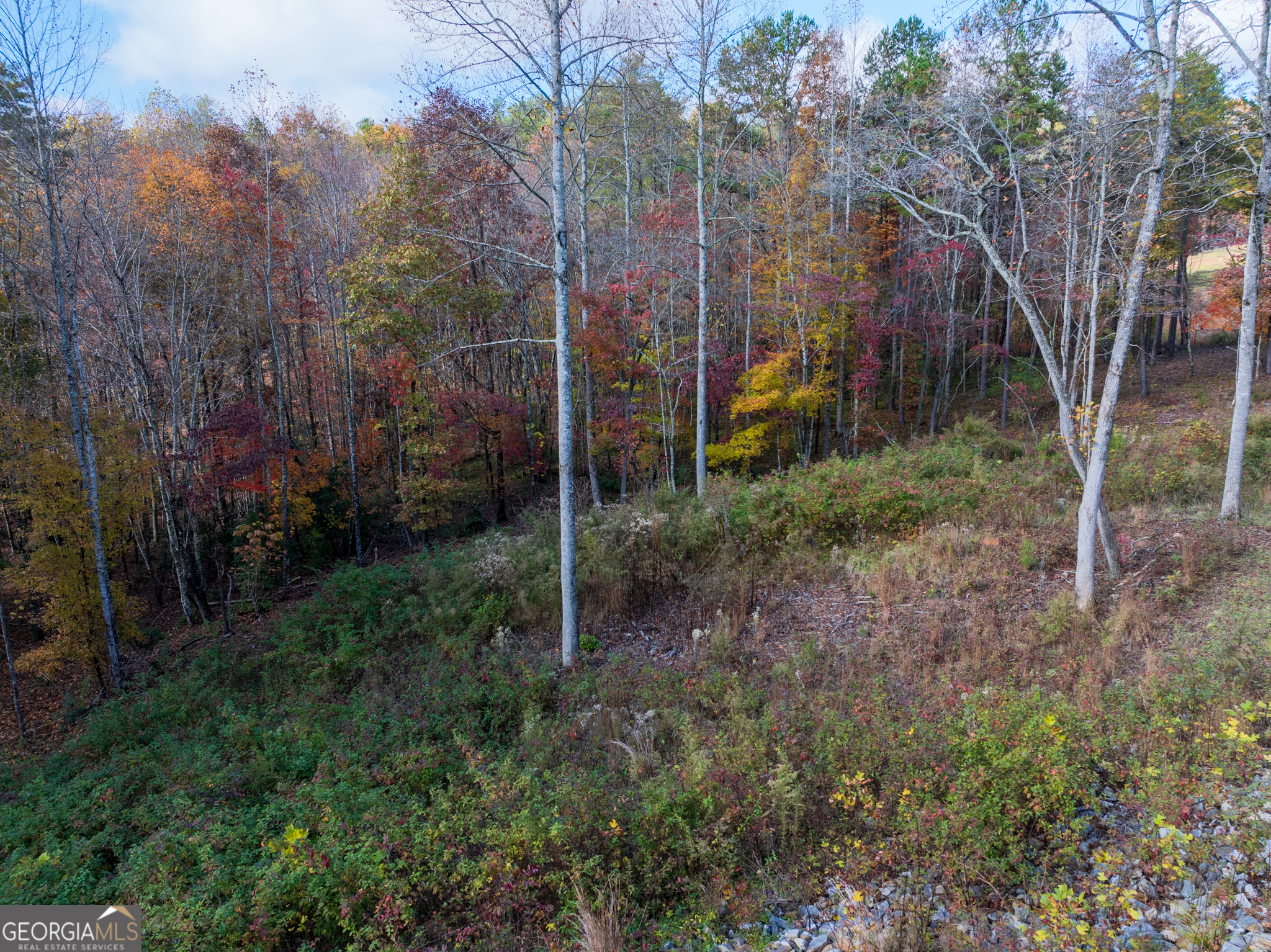 0 Ridge Road Morganton, GA 30560 - Photo 31 of 47 a view of a forest