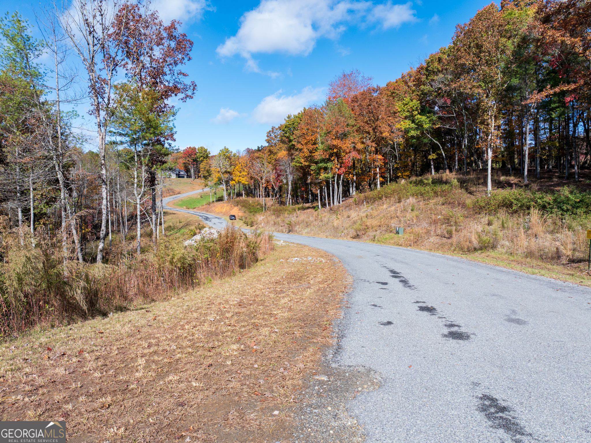 0 Ridge Road Morganton, GA 30560 - Photo 37 of 47 a view of a yard with a tree