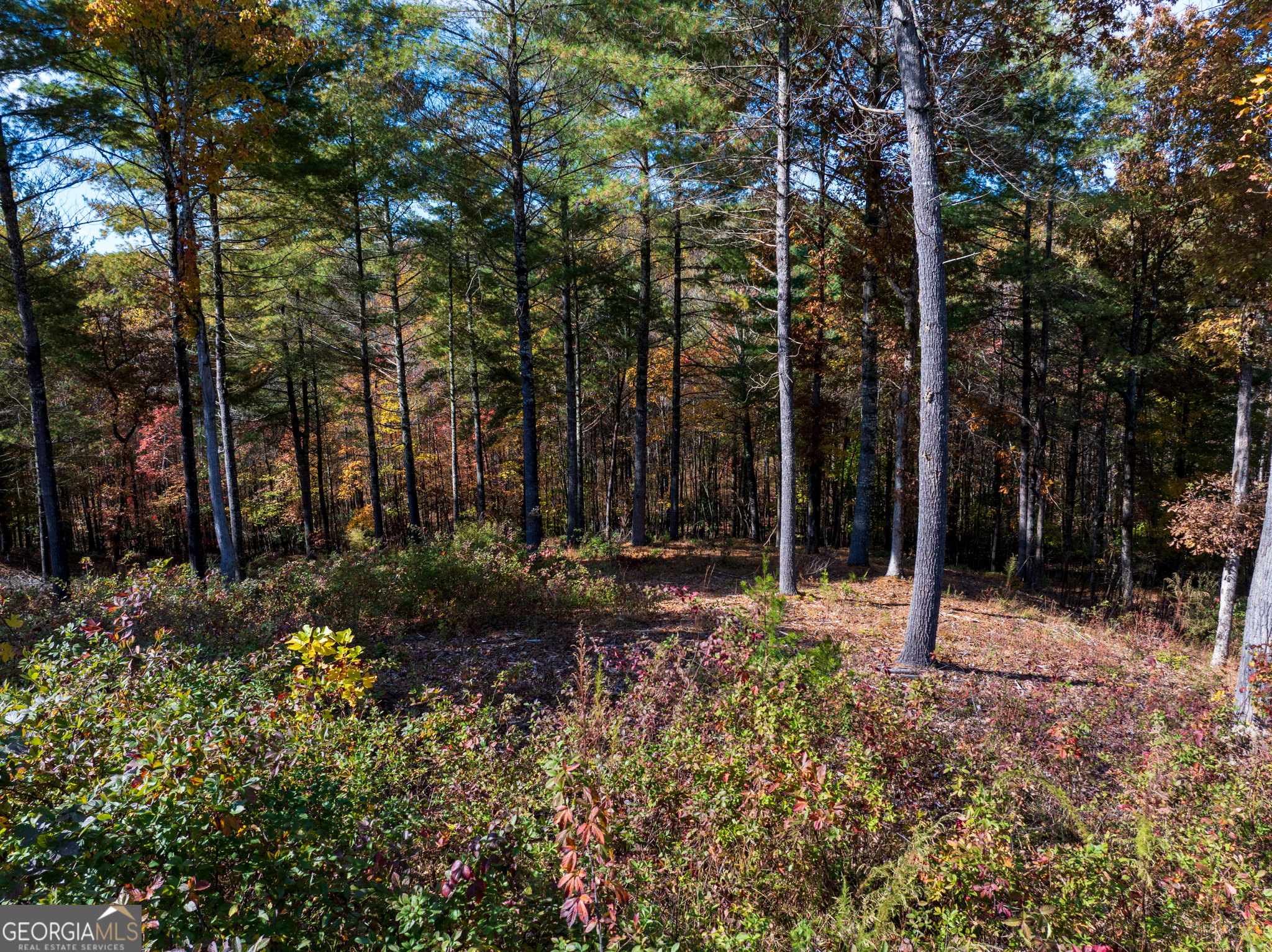 0 Ridge Road Morganton, GA 30560 - Photo 38 of 47 a backyard of a house with lots of green space and chair