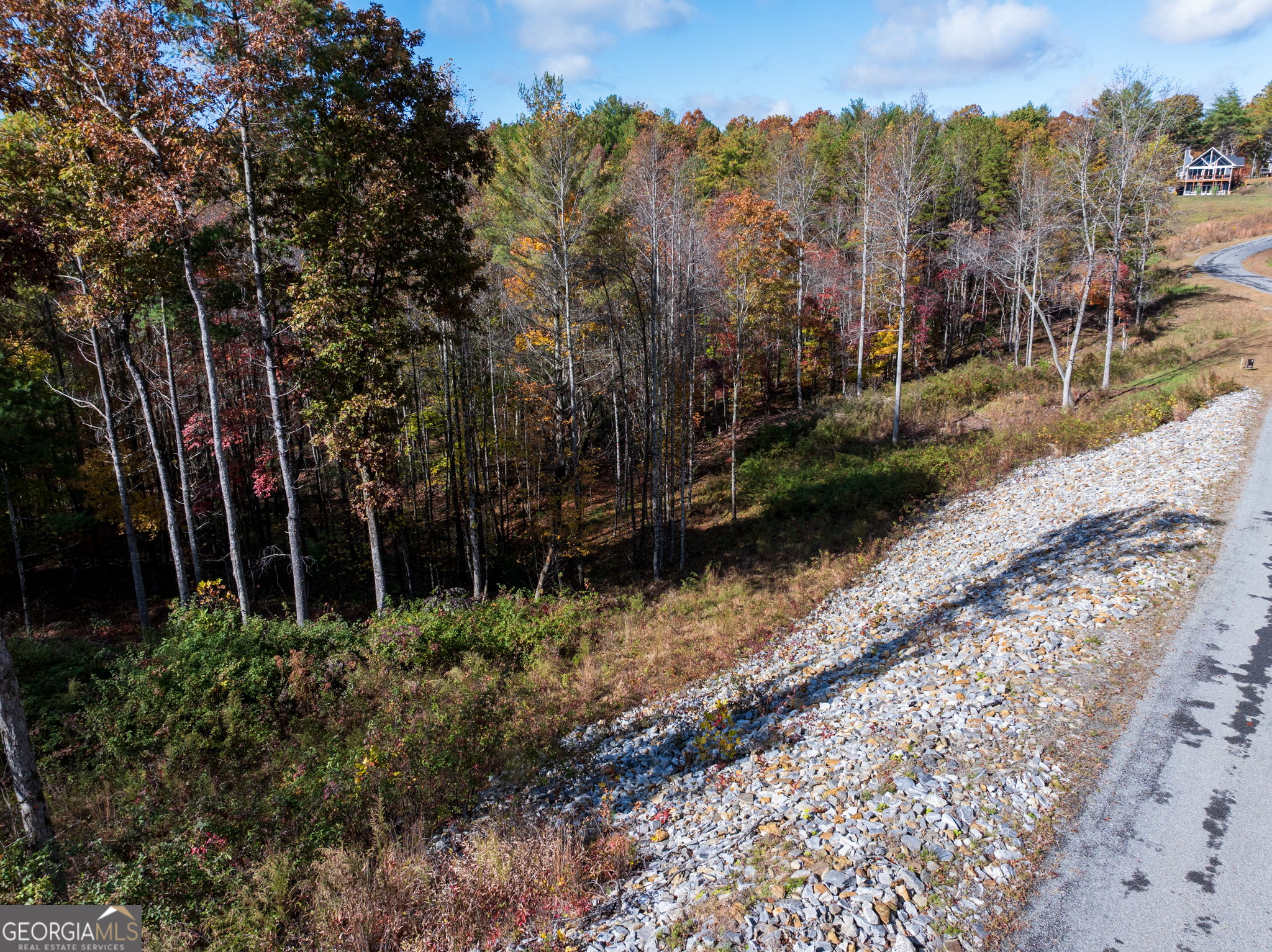 0 Ridge Road Morganton, GA 30560 - Photo 40 of 47 a view of a yard with large trees