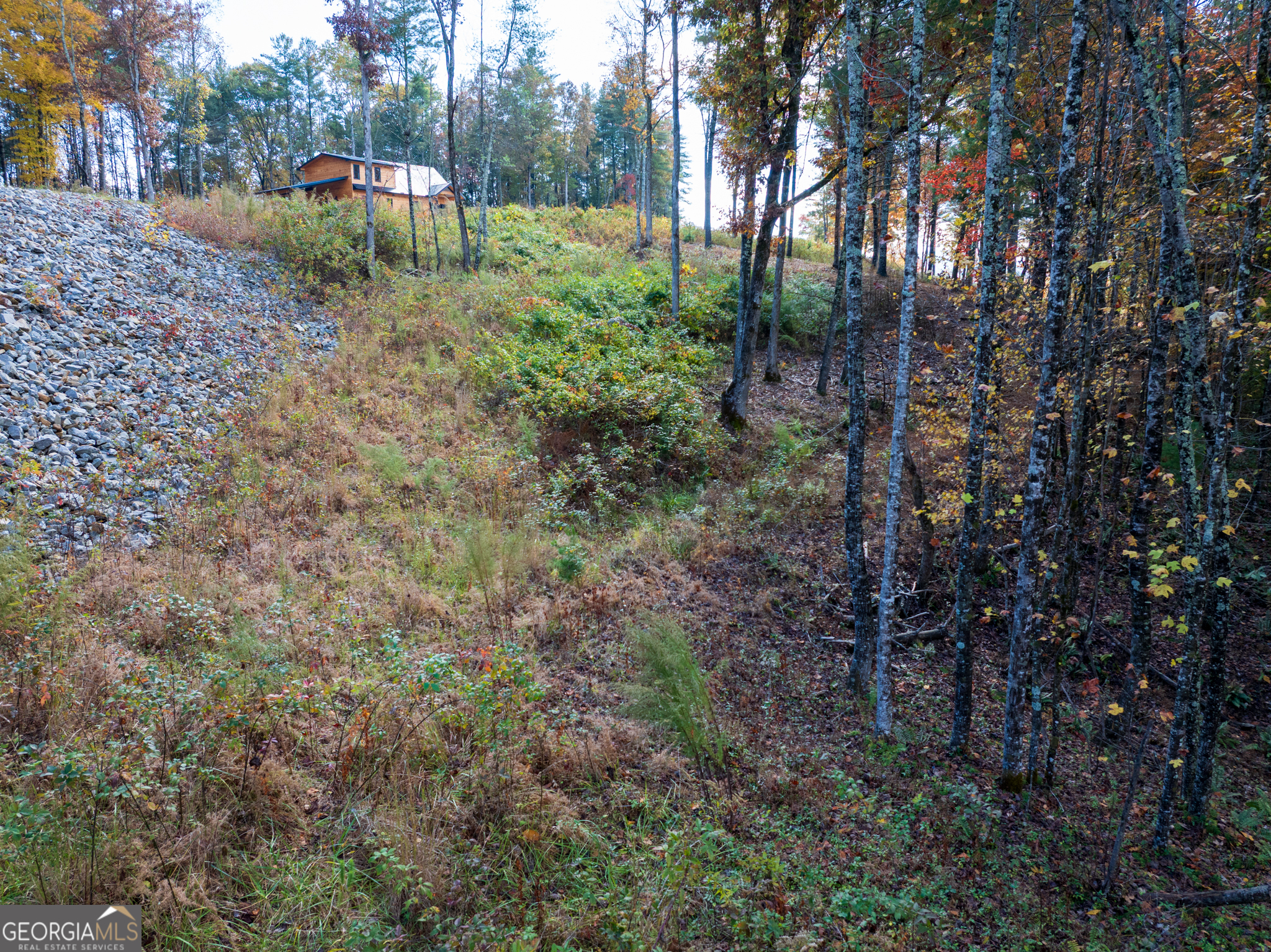 0 Ridge Road Morganton, GA 30560 - Photo 42 of 47 a view of backyard with green space