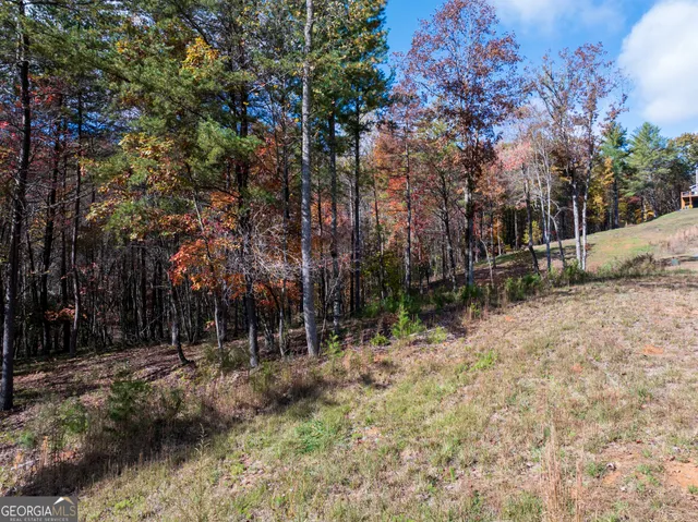 a view of a yard covered in snow