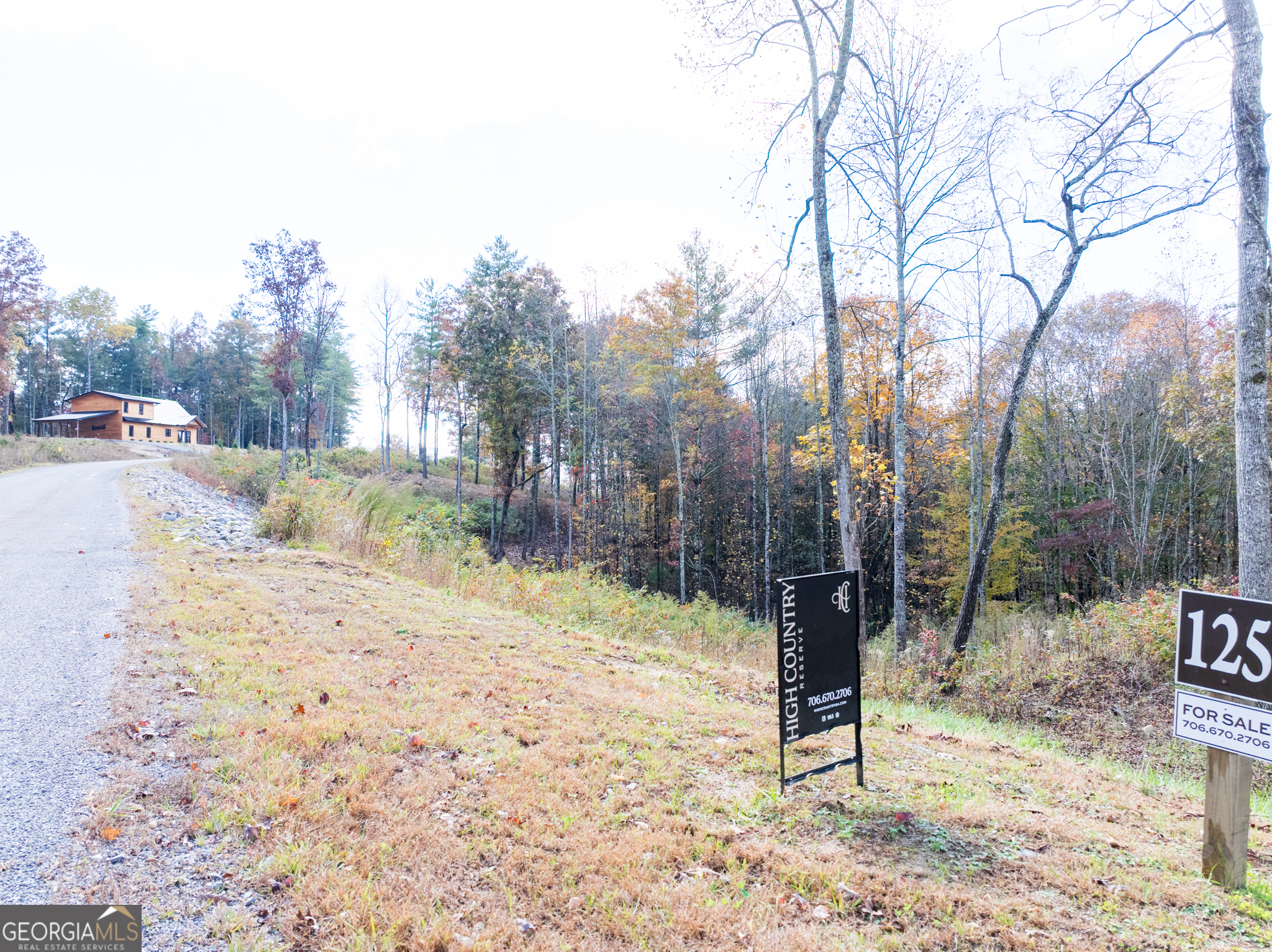 0 Ridge Road Morganton, GA 30560 - Photo 46 of 47 a view of a yard covered in snow