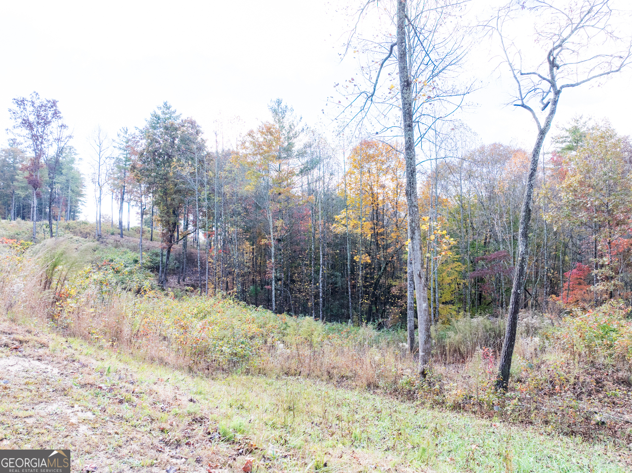 0 Ridge Road Morganton, GA 30560 - Photo 47 of 47 a view of a yard covered in snow