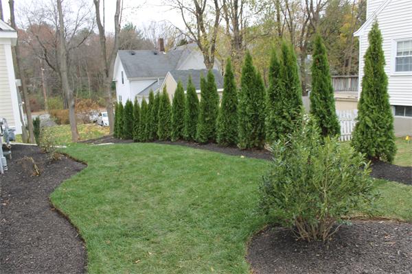 4 Claflin Road Wellesley, MA 02482 - Photo 18 of 20 a view of a yard with plants and trees