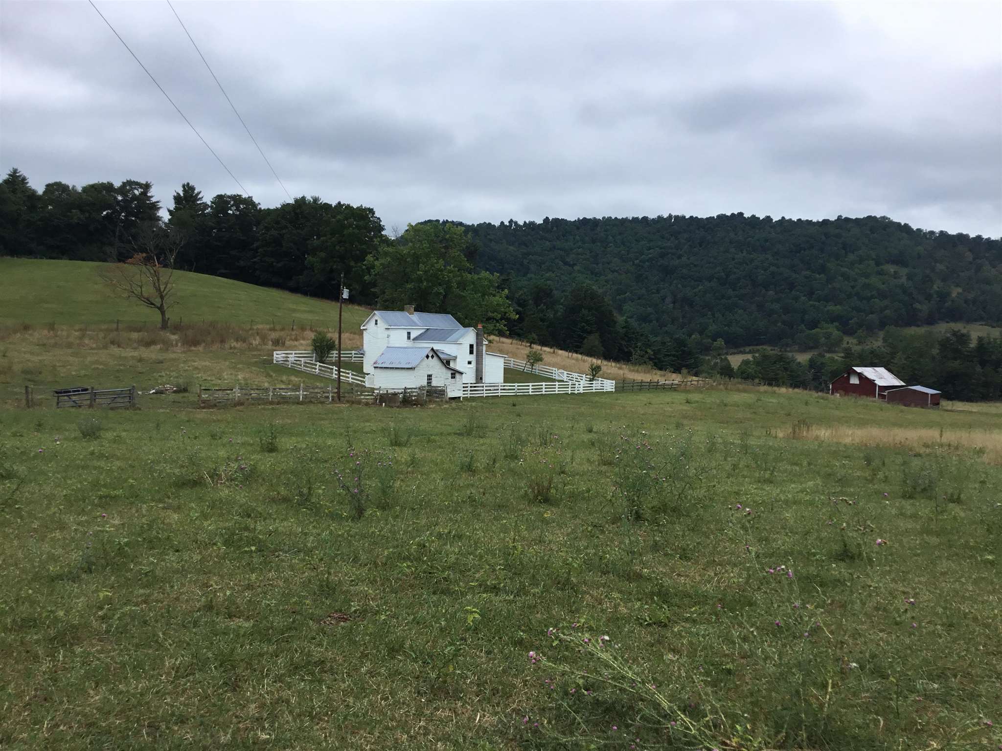 407 J Mallow Road Franklin, WV 26807 - Photo 13 of 39 a view of a field with an trees