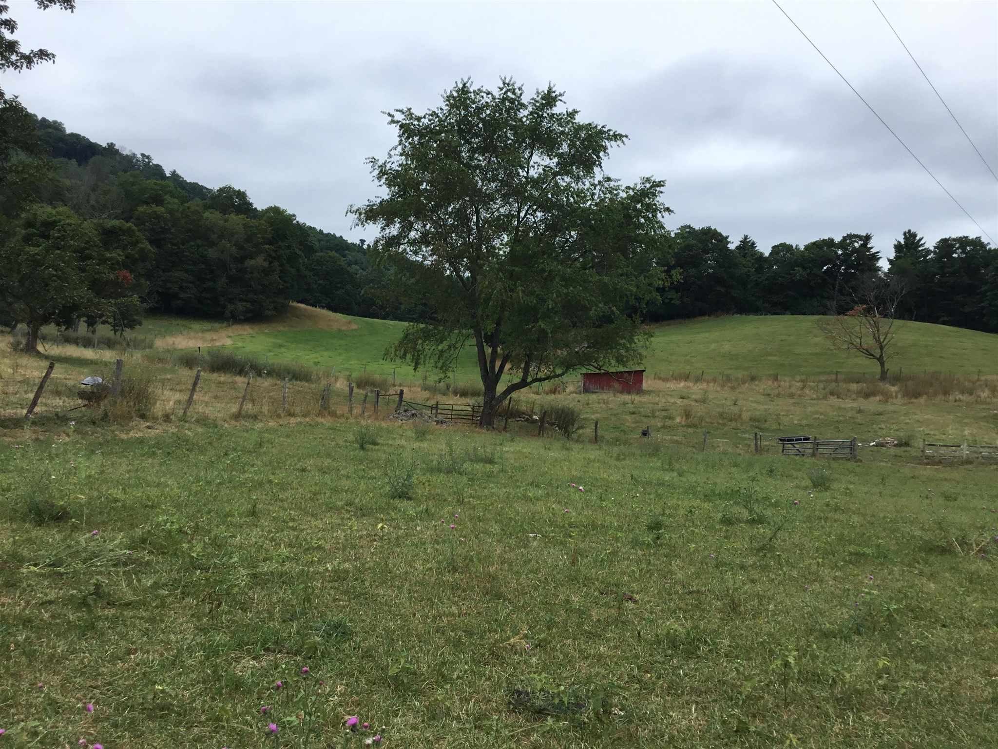 407 J Mallow Road Franklin, WV 26807 - Photo 14 of 39 a view of outdoor space with green field and trees all around
