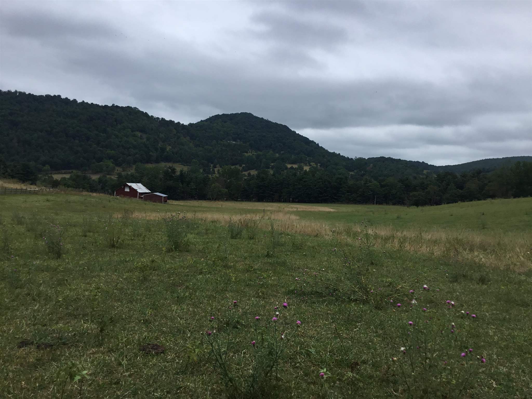 407 J Mallow Road Franklin, WV 26807 - Photo 15 of 39 a view of outdoor space and mountain view