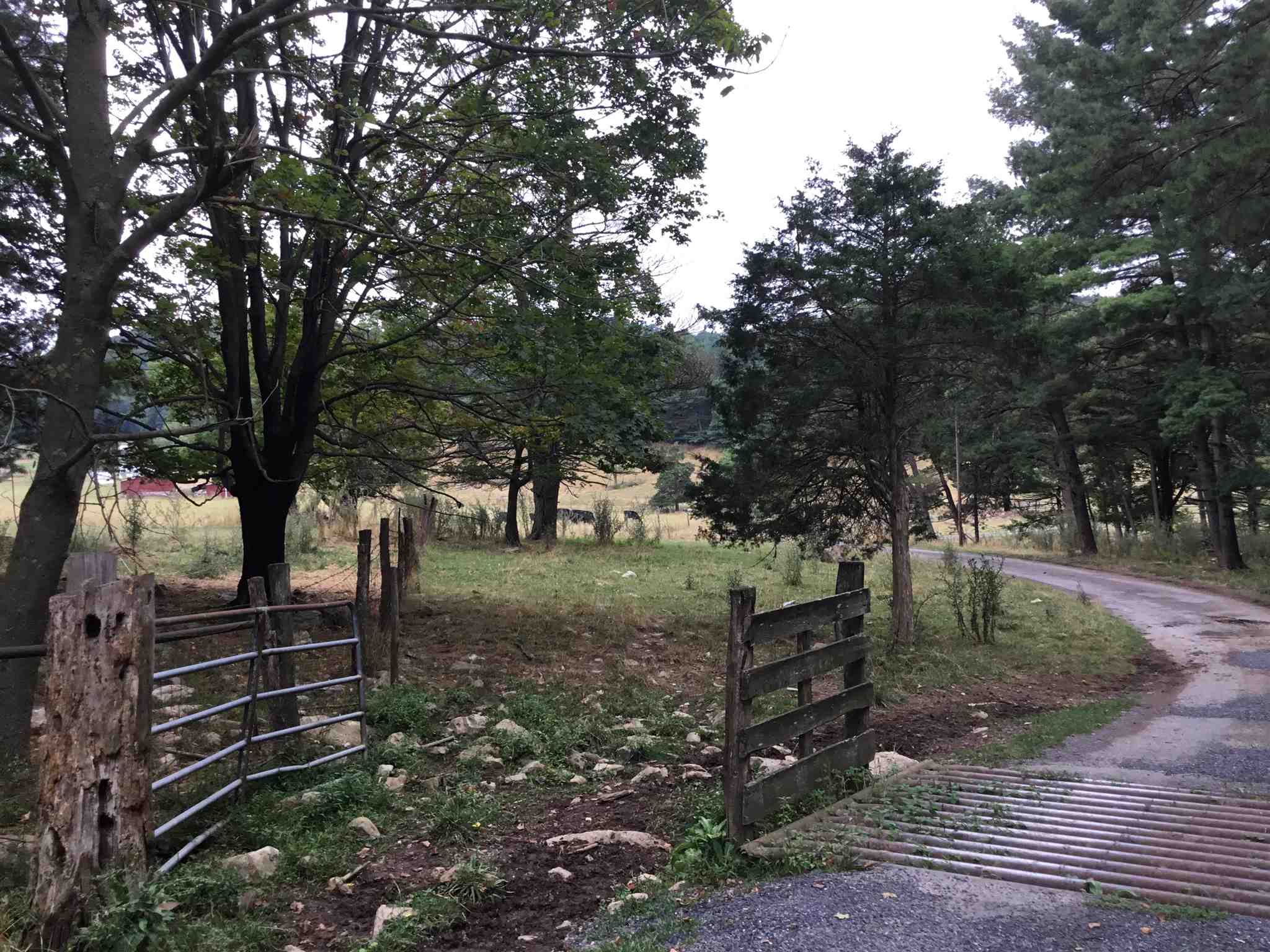 407 J Mallow Road Franklin, WV 26807 - Photo 2 of 39 a backyard of a house with lots of green space