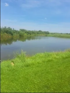 a view of a lake with houses in the background