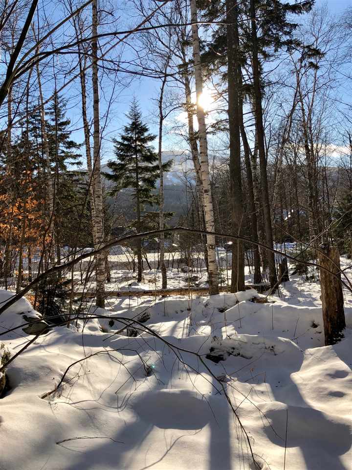 723 Stone House Road, Unit F22 Winhall, VT 05340 - Photo 18 of 19