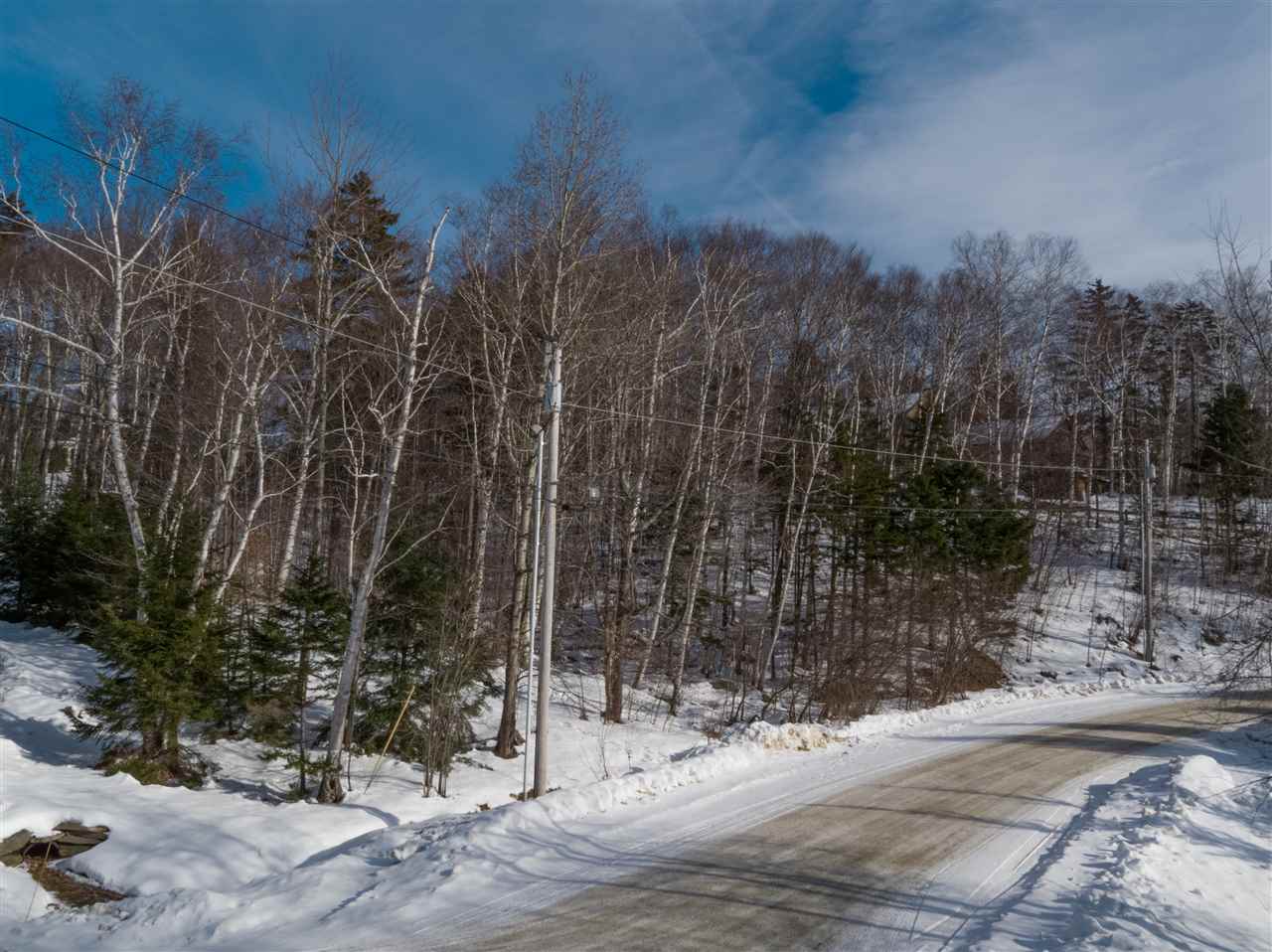 723 Stone House Road, Unit F22 Winhall, VT 05340 - Photo 3 of 19