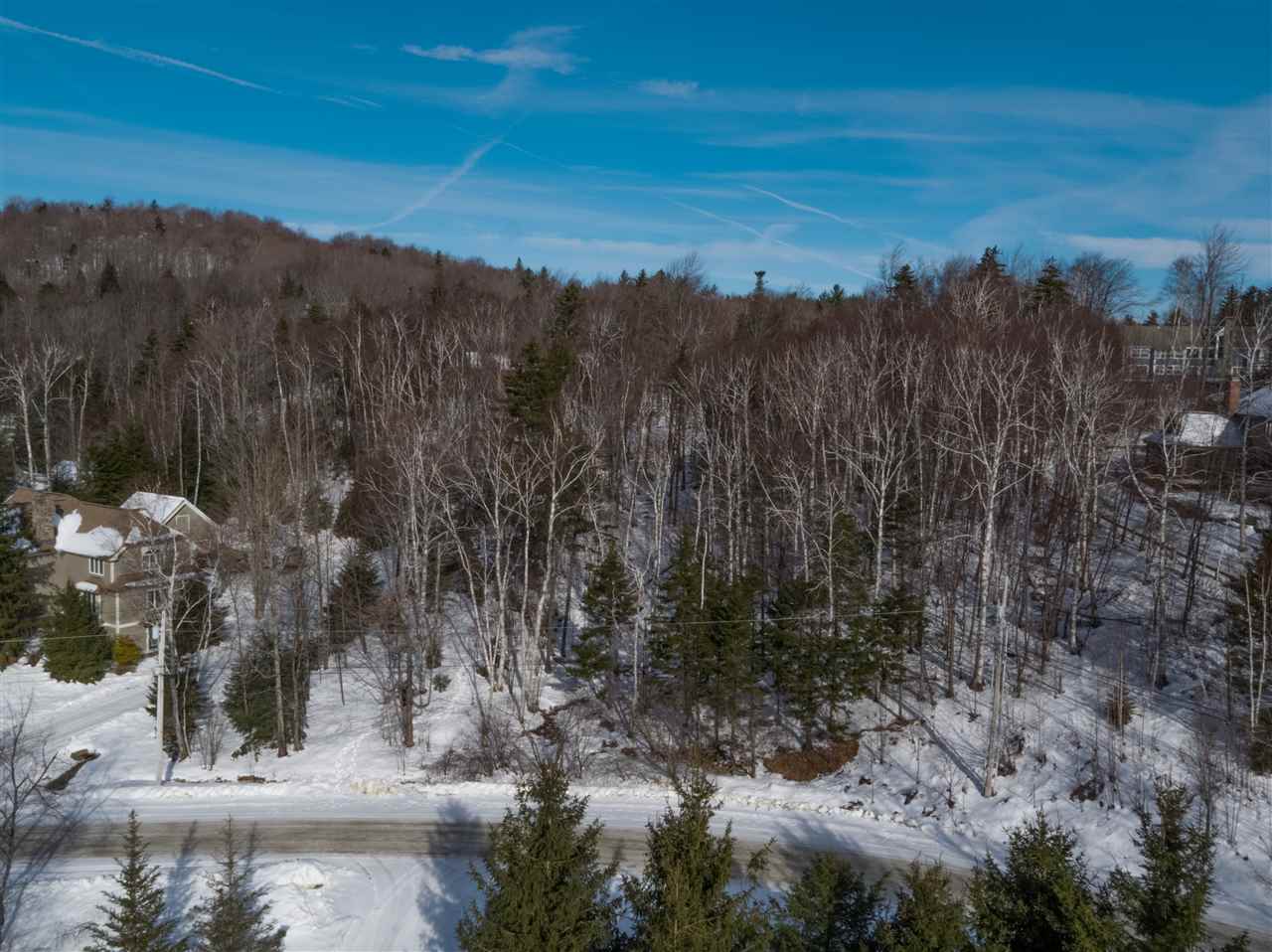 723 Stone House Road, Unit F22 Winhall, VT 05340 - Photo 7 of 19