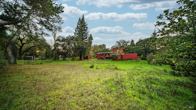 a big yard with large trees