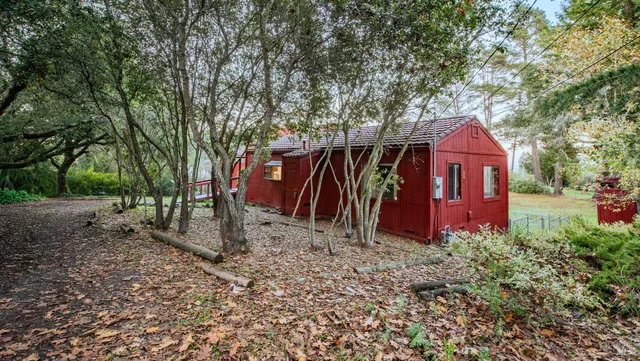 a outdoor space filled with lots of fruit and vegetables