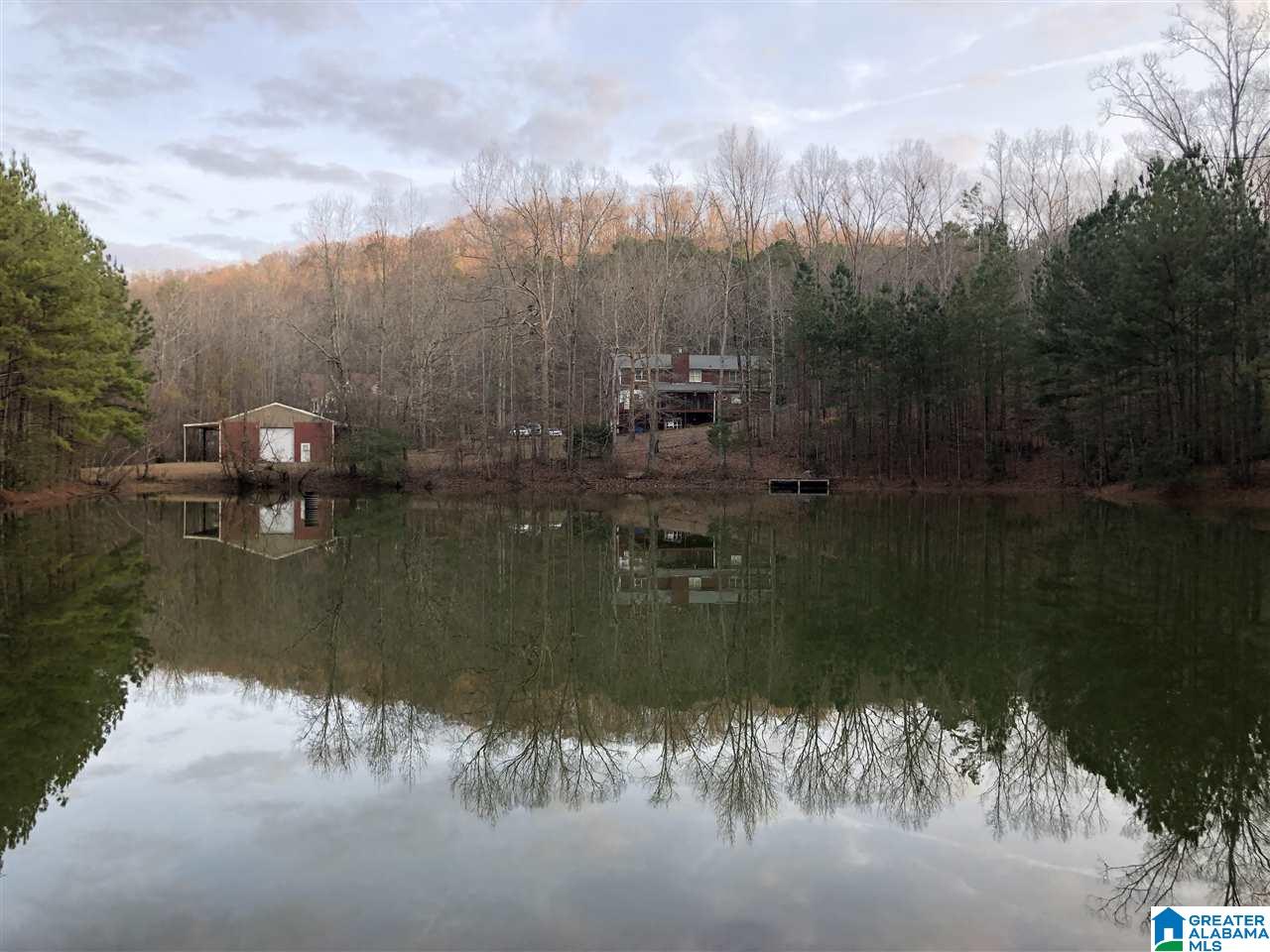 8008 Cedar Mountain Road Pinson, AL 35126 - Photo 8 of 48