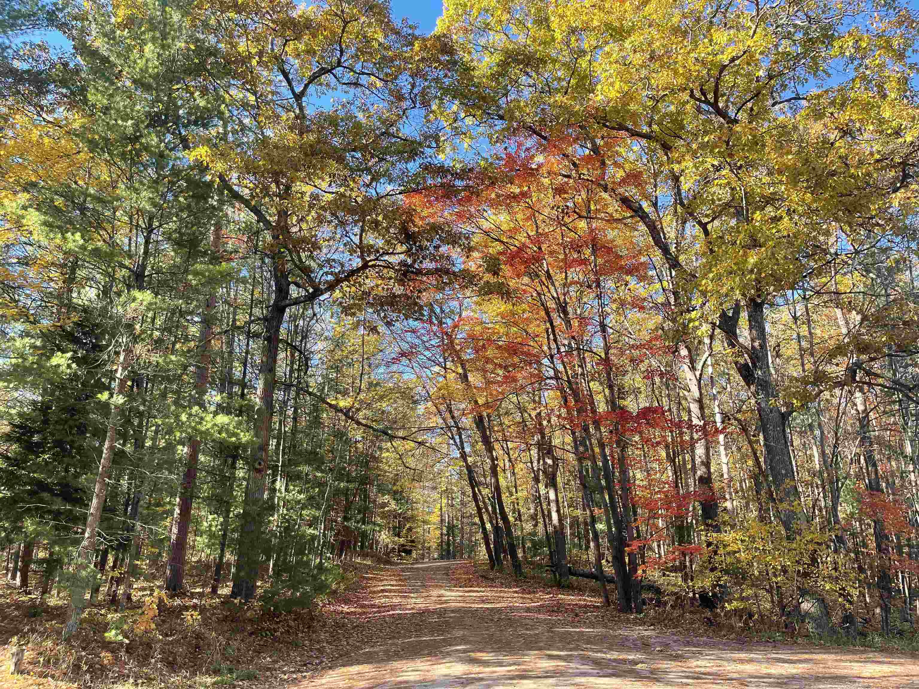 Lot 3 Dockery Road East Williamsburg, MI 49690 - Photo 1 of 6