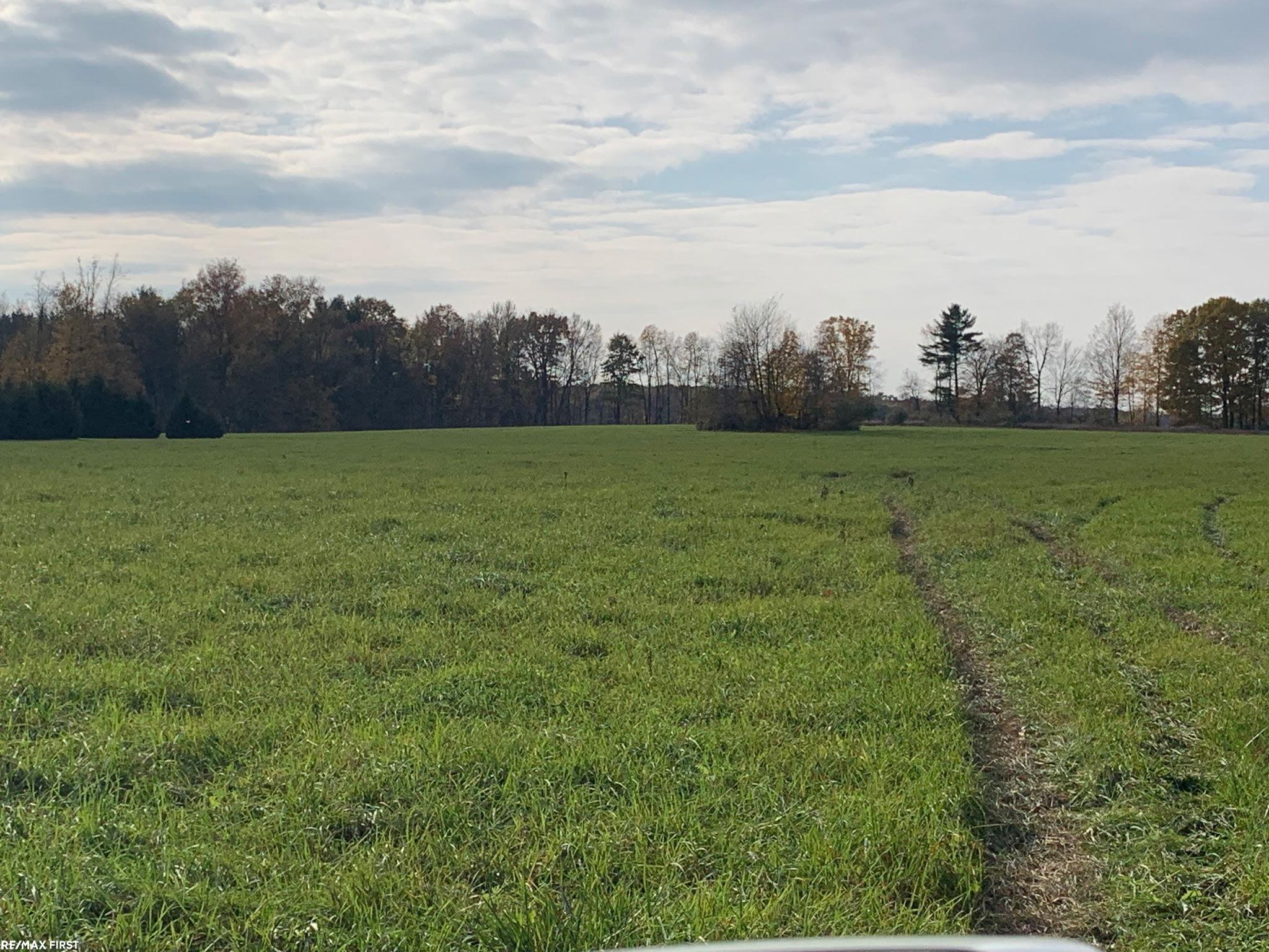 0 North Five Lakes Road Lapeer, MI 48446 - Photo 22 of 22