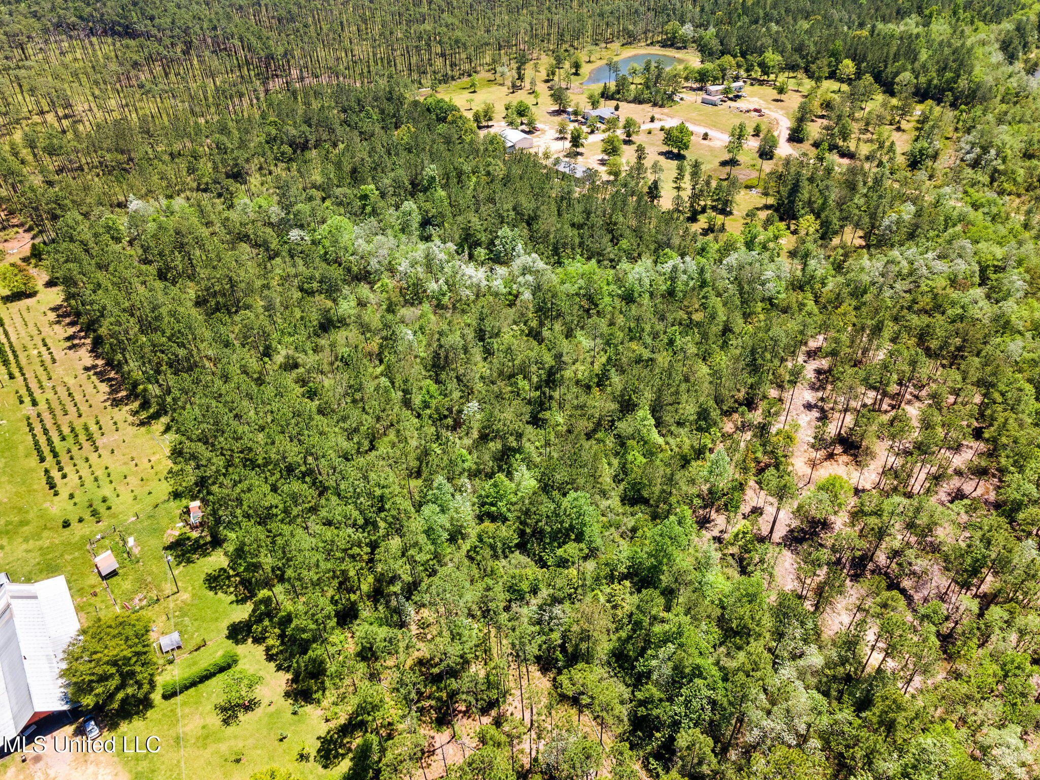0 Pasture Road Perkinston, MS 39573 - Photo 3 of 9 3-web-or-mls-home-1