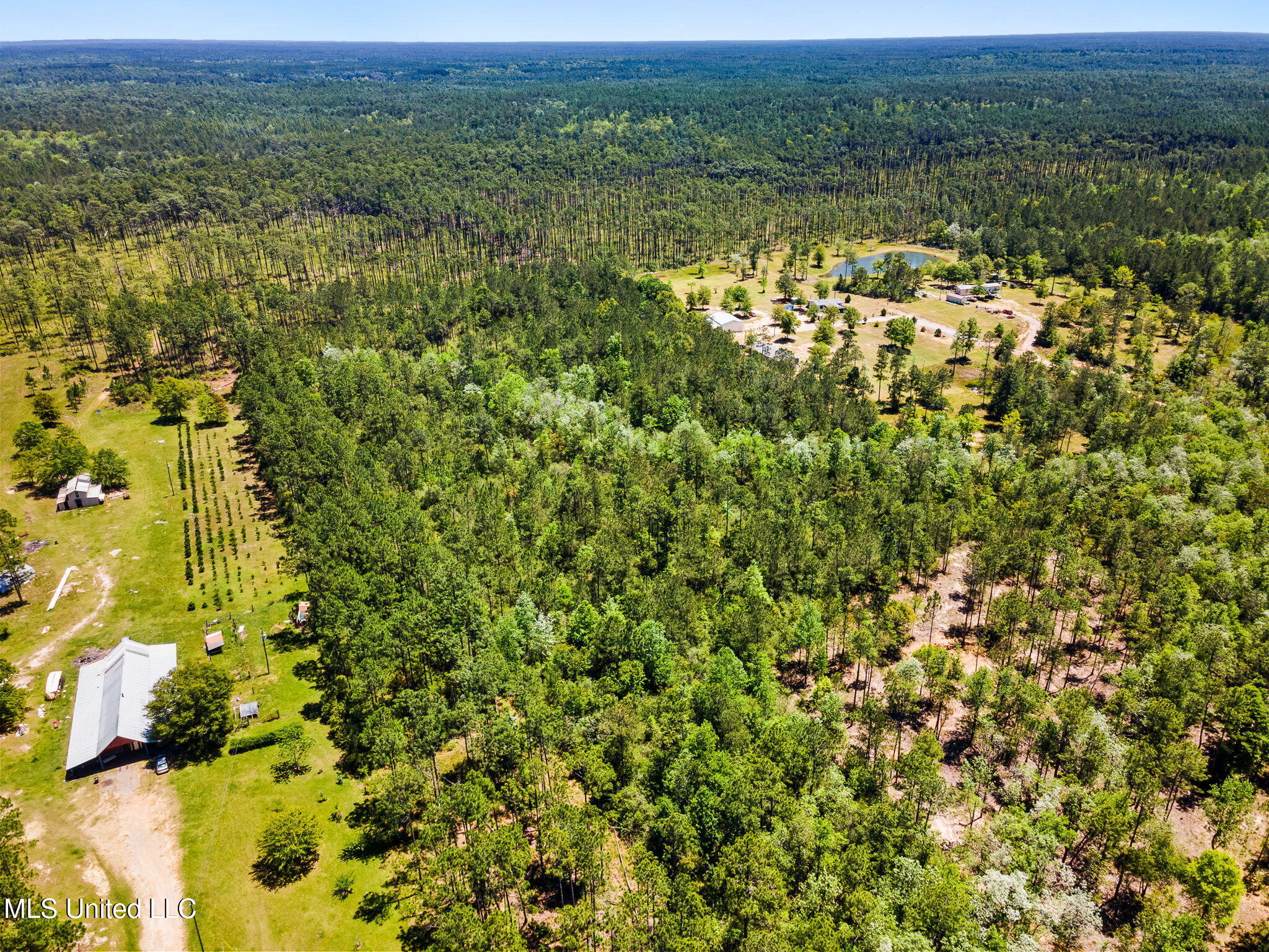 0 Pasture Road Perkinston, MS 39573 - Photo 4 of 9 4-web-or-mls-home-2