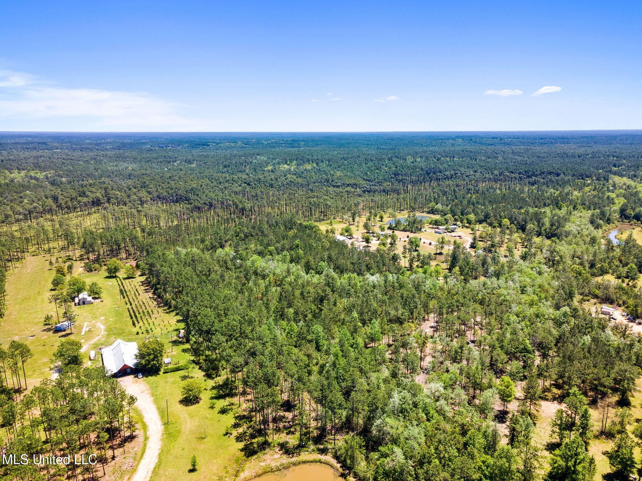 0 Pasture Road Perkinston, MS 39573 - Photo 5 of 9 5-web-or-mls-home-3