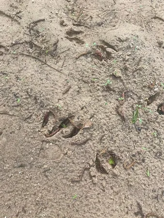 a view of a ocean view