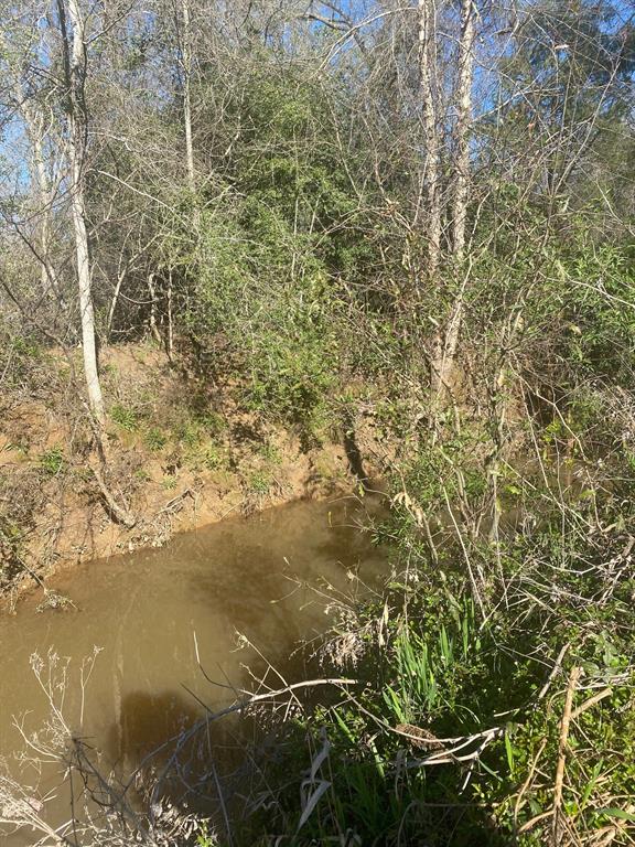 3 Fm 1848 Buffalo, TX 75831 - Photo 17 of 17