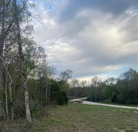 a view of a green field