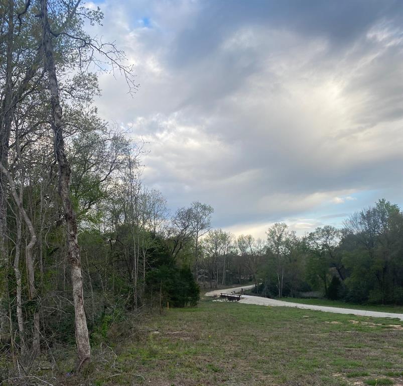 3 Fm 1848 Buffalo, TX 75831 - Photo 5 of 17 a view of a green field