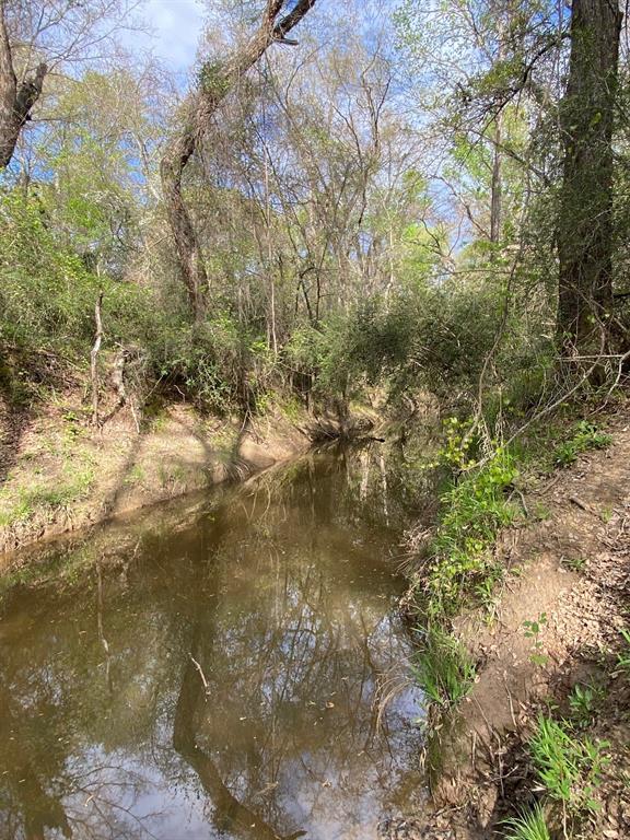 3 Fm 1848 Buffalo, TX 75831 - Photo 8 of 17 a view of lake