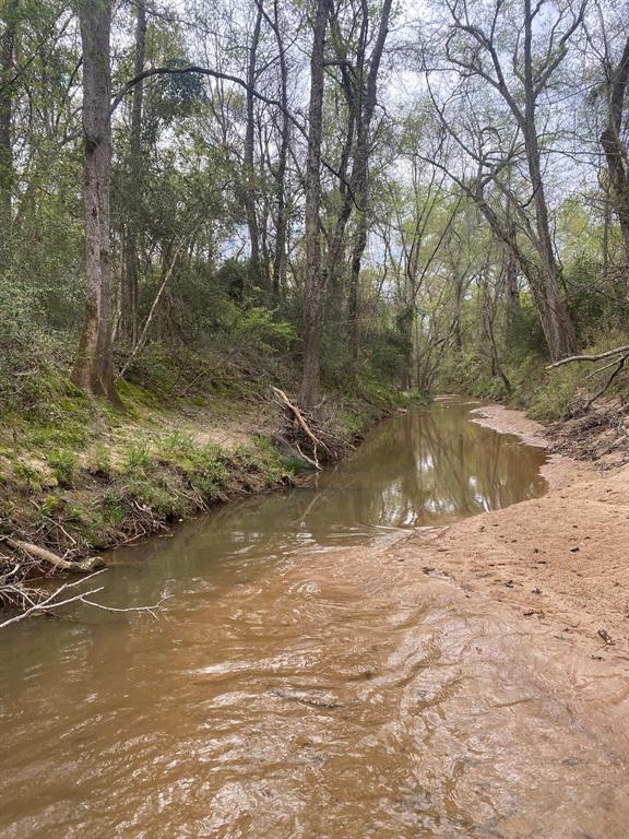 3 Fm 1848 Buffalo, TX 75831 - Photo 9 of 17 a view of a lake view