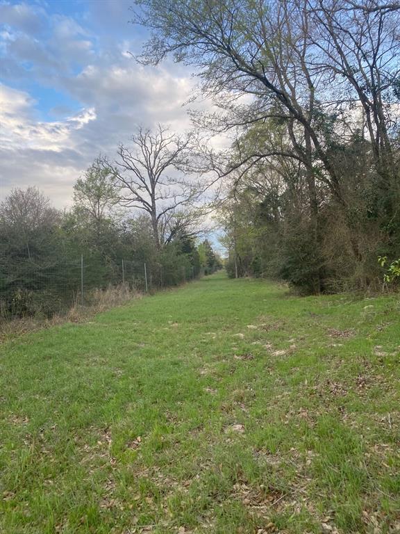 3 Fm 1848 Buffalo, TX 75831 - Photo 10 of 17