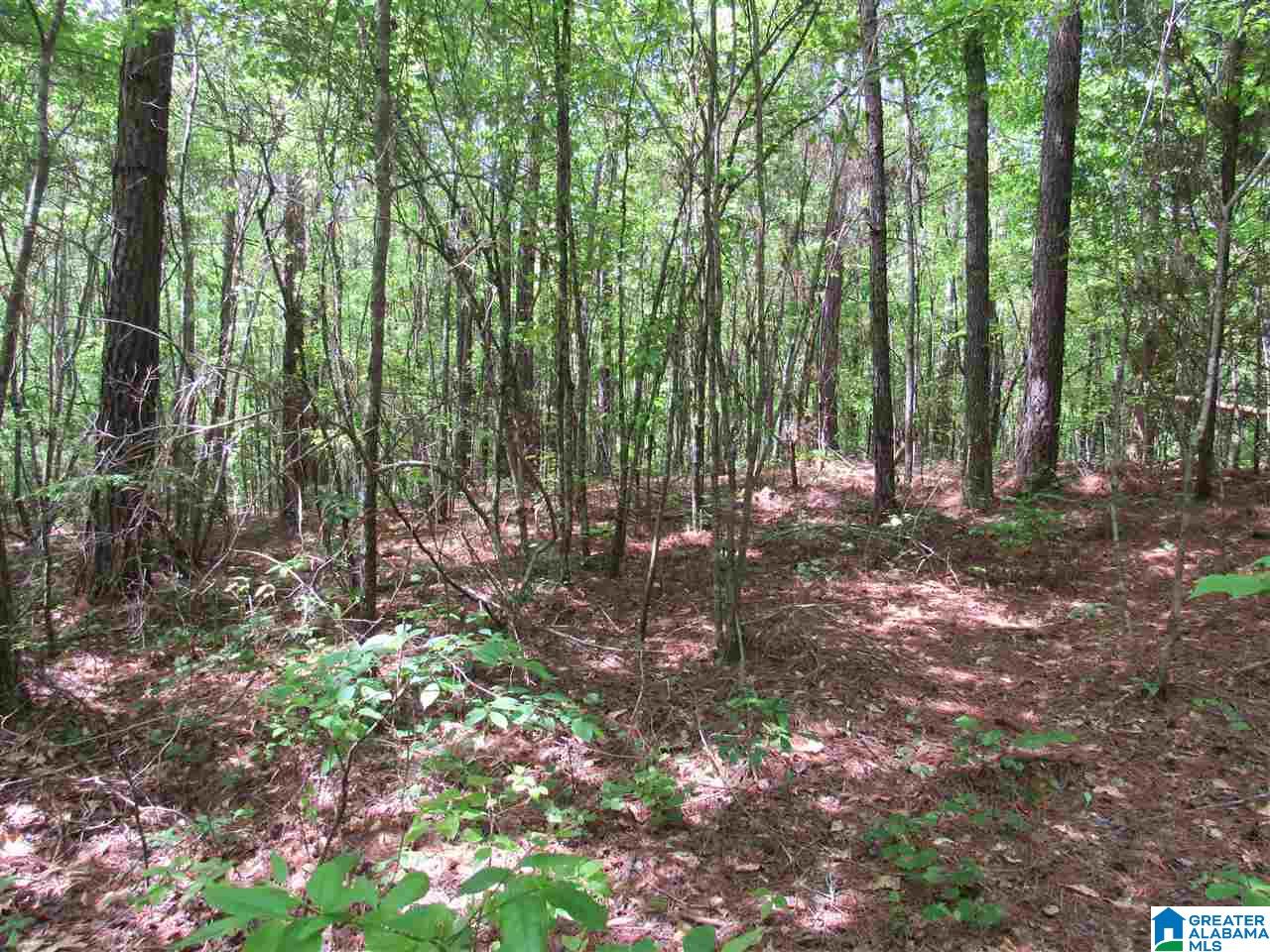 0 County Road 895, Unit 17 ACRES Lineville, AL 36266 - Photo 25 of 30