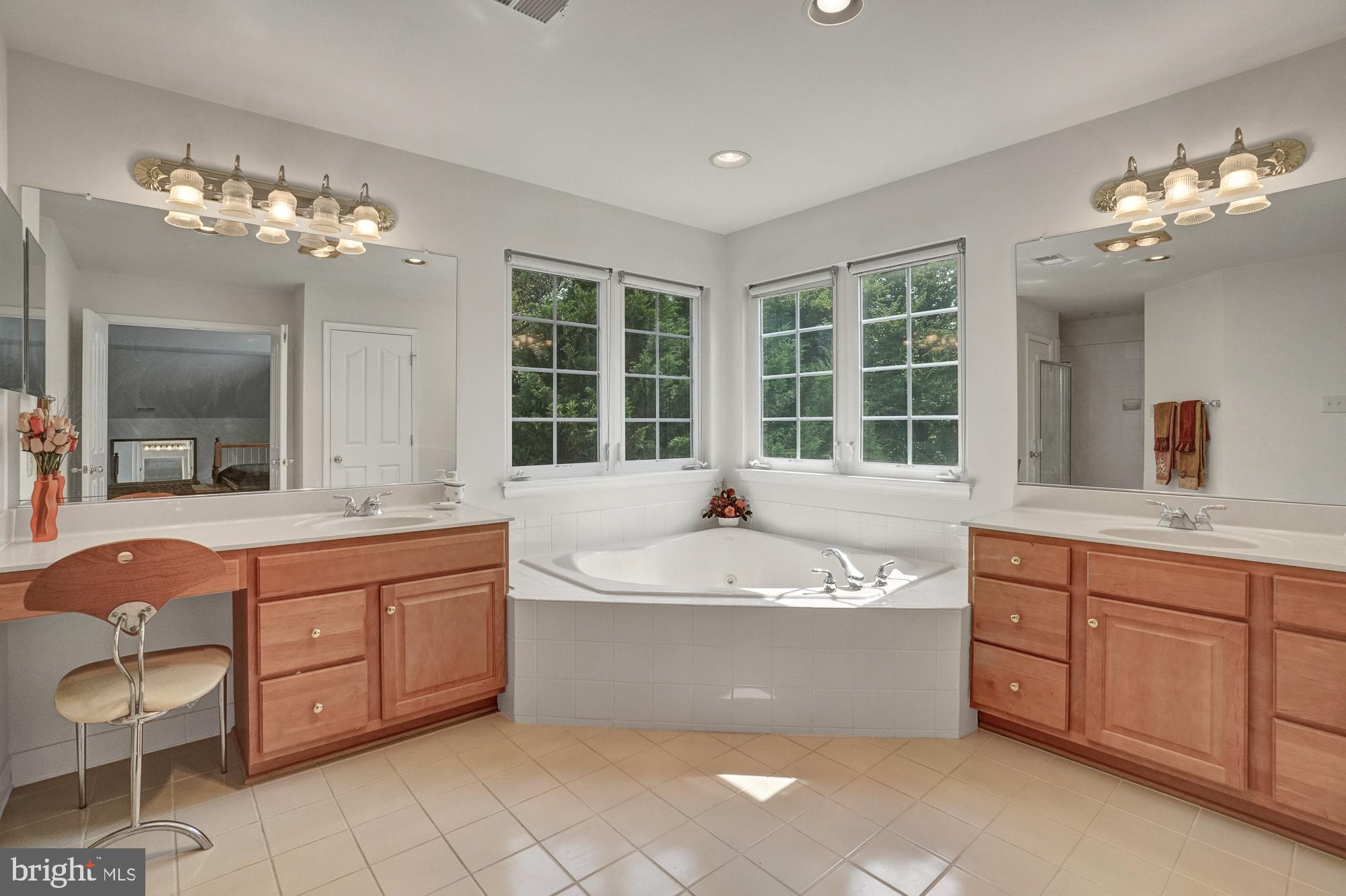 8059 High Castle Road Ellicott City, MD 21043 - Photo 22 of 45 Master bath with Jacozzi tub