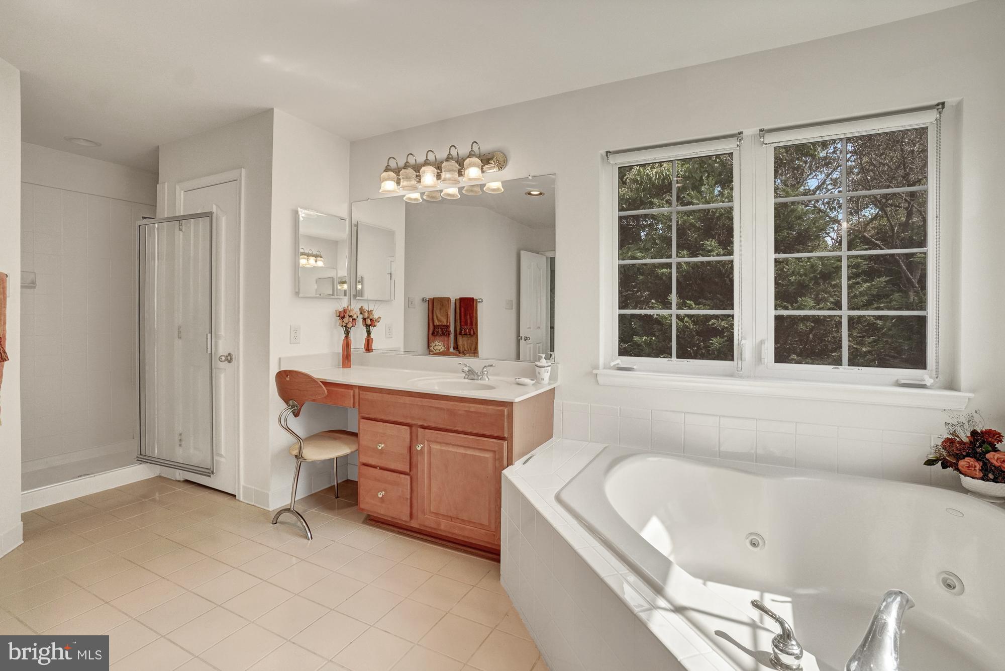 8059 High Castle Road Ellicott City, MD 21043 - Photo 23 of 45 Master bath with Jacozzi tub